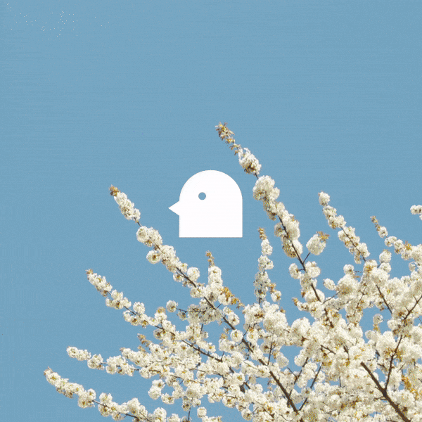 Japanese Limited Editions (August, 2024)