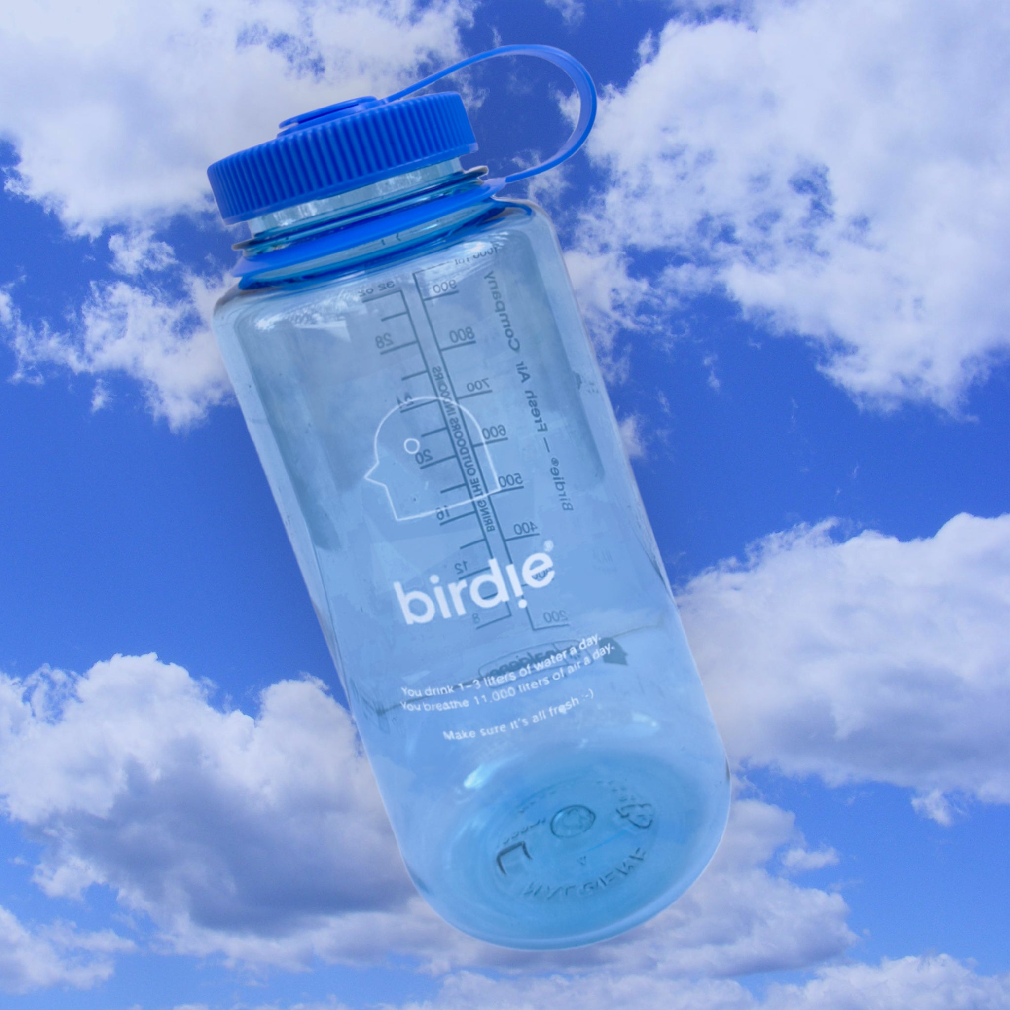 Birdie® Water Bottle — 1L (Blue Sky)
