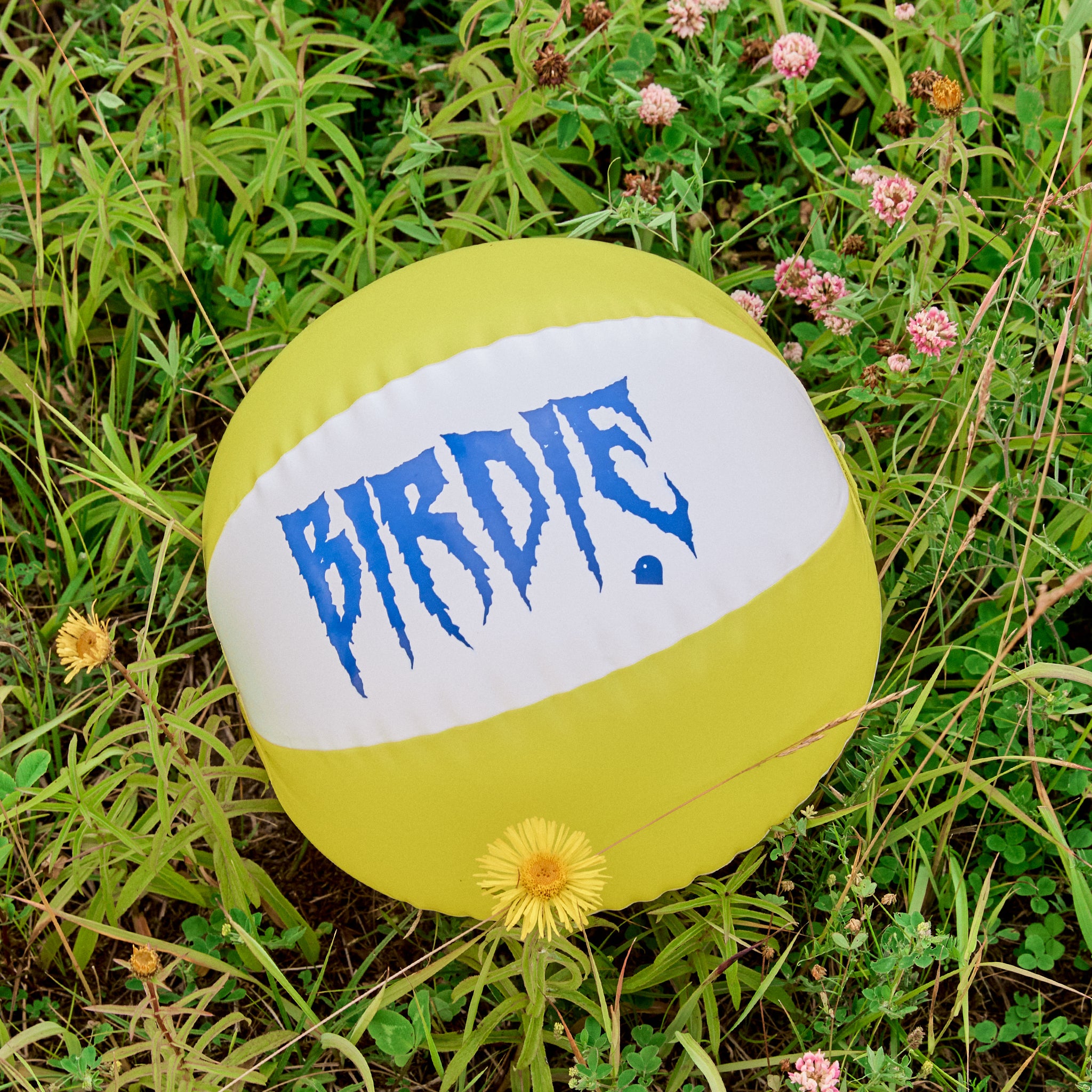 Birdie® Beach Ball