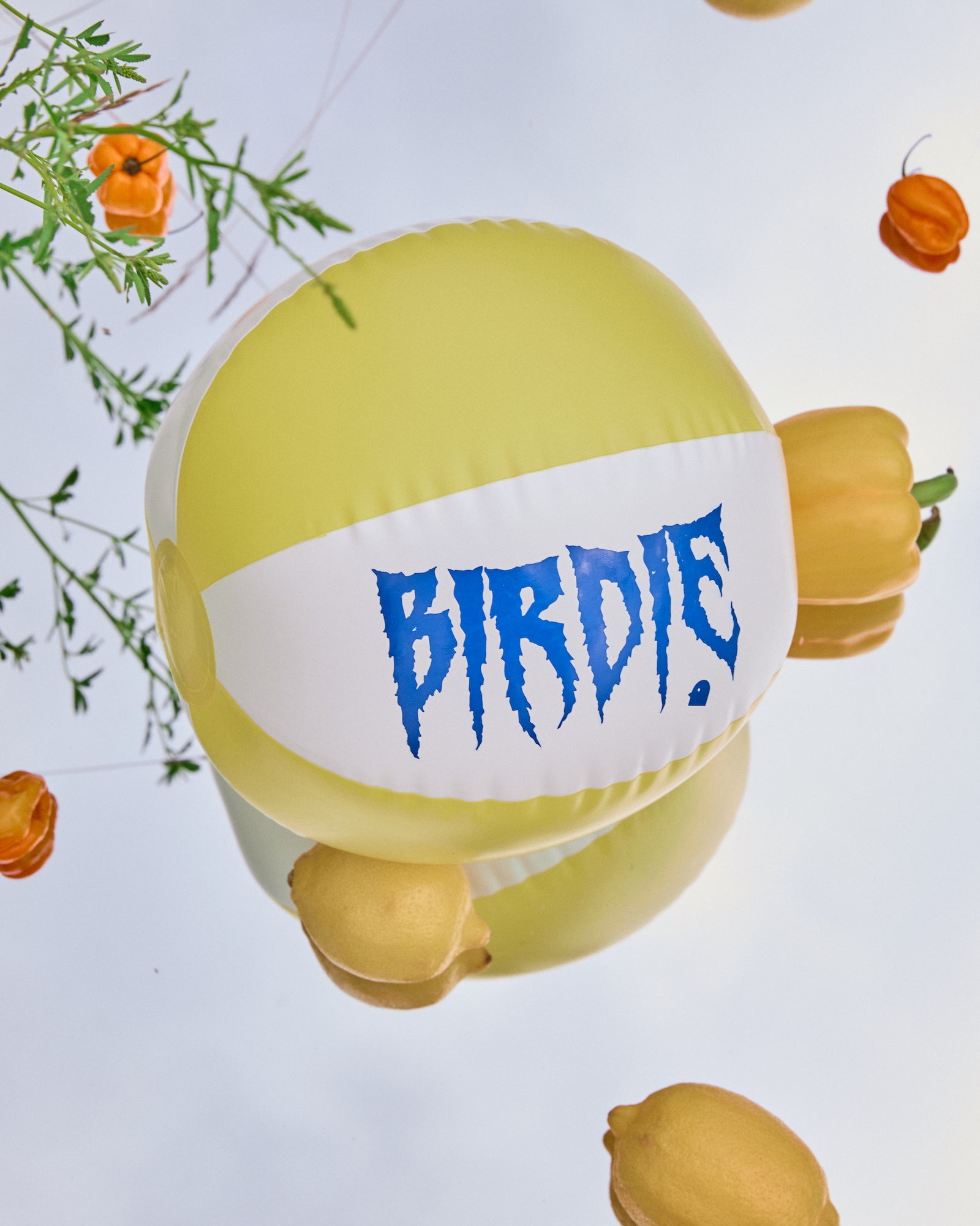 Birdie® Beach Ball