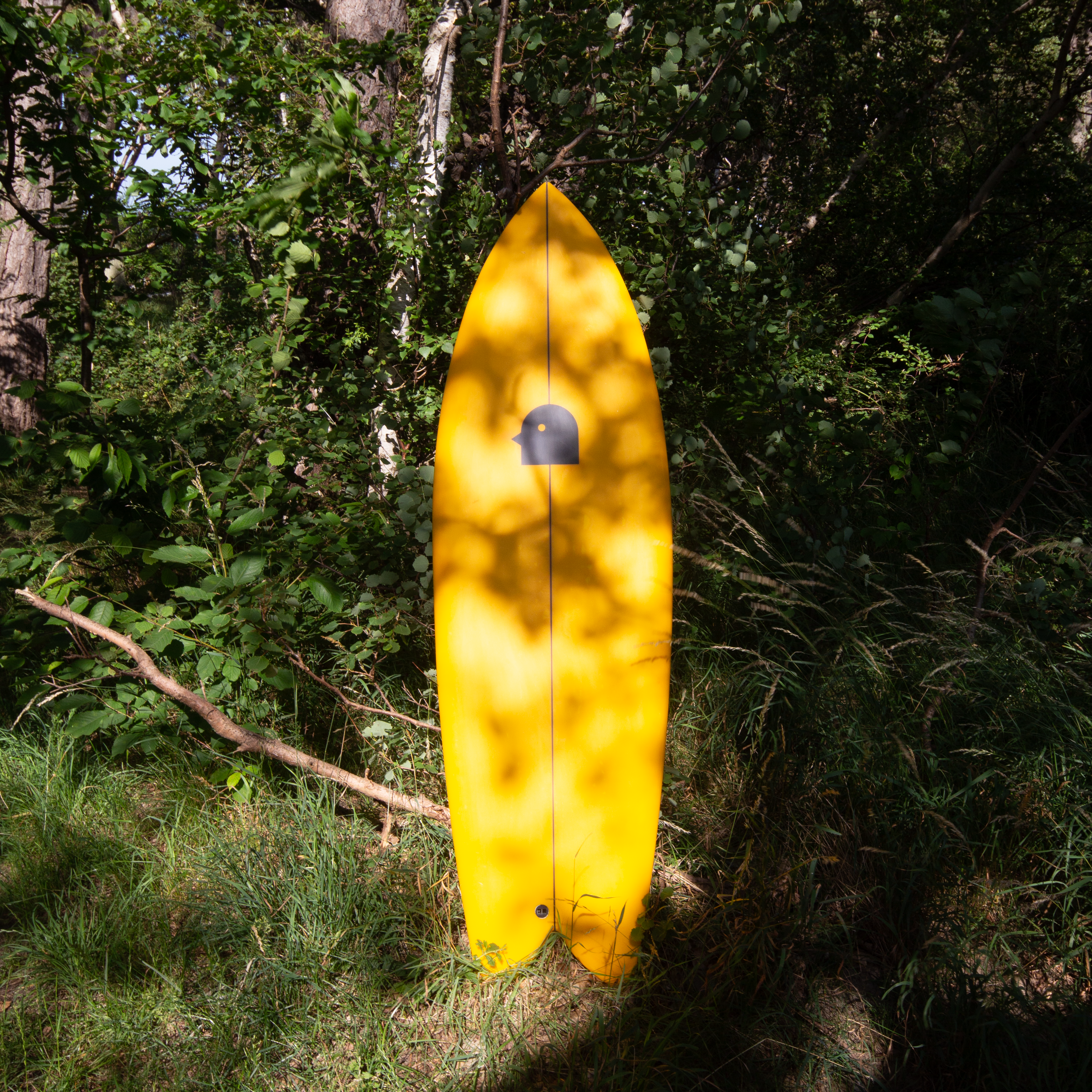 Get Out! Fish Surfboard