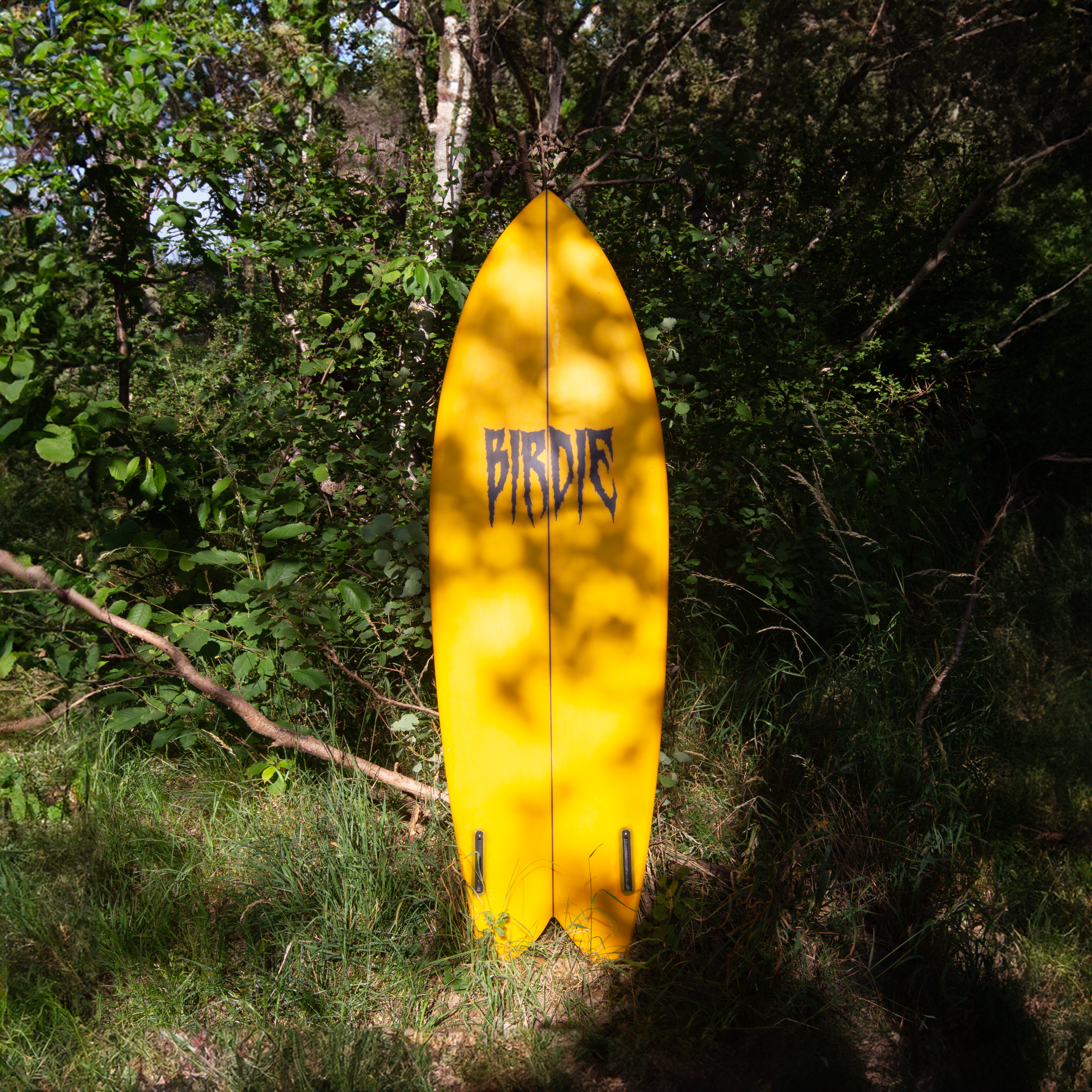 Get Out! Fish Surfboard