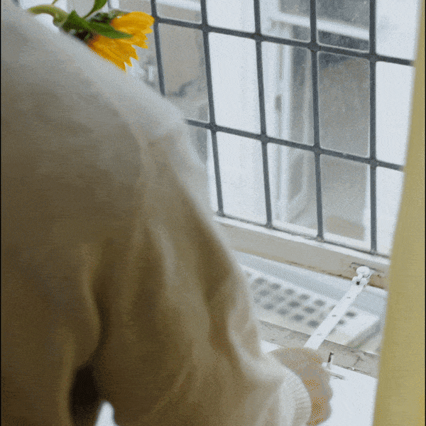 Birdie® 2.0 - Dune™