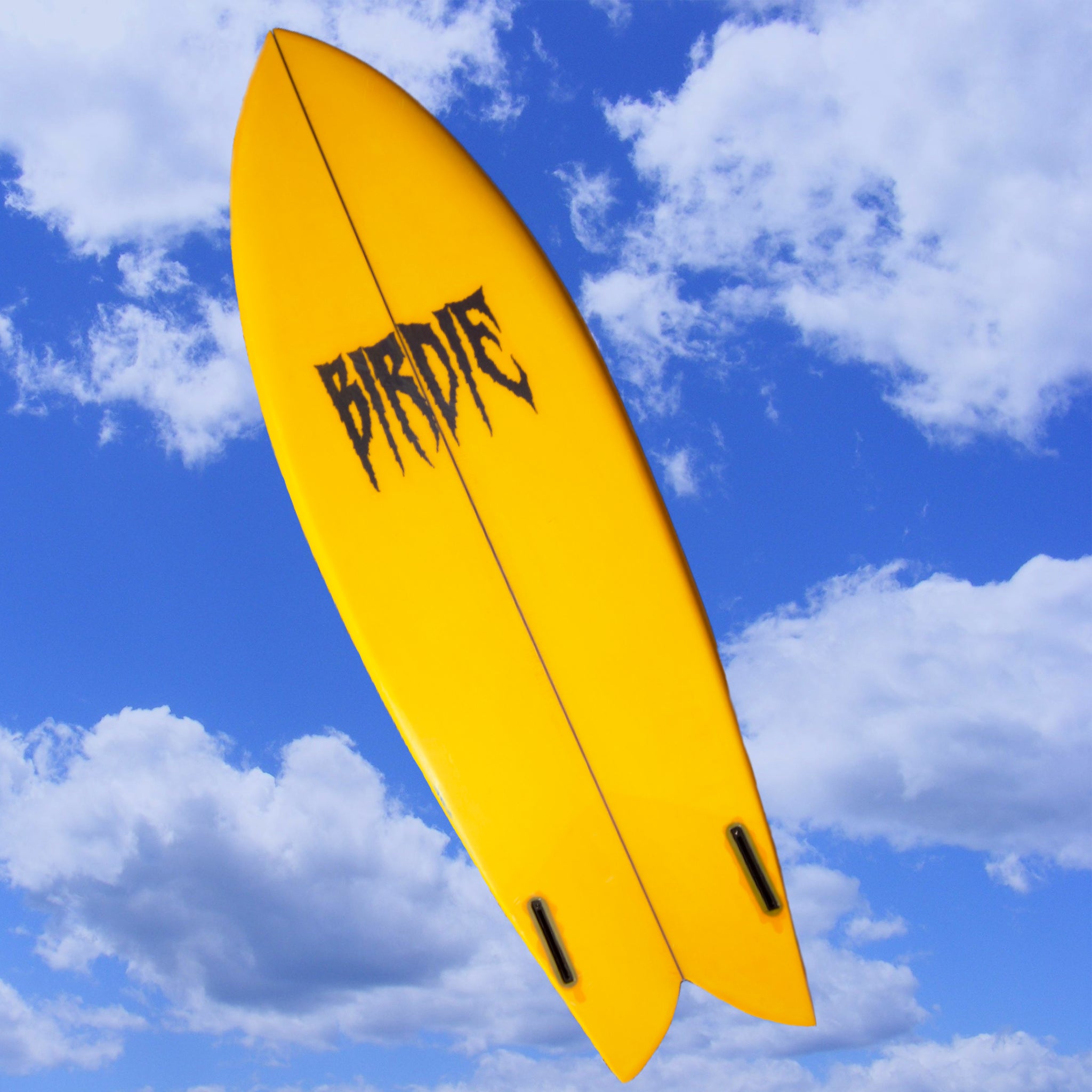 Get Out! Fish Surfboard