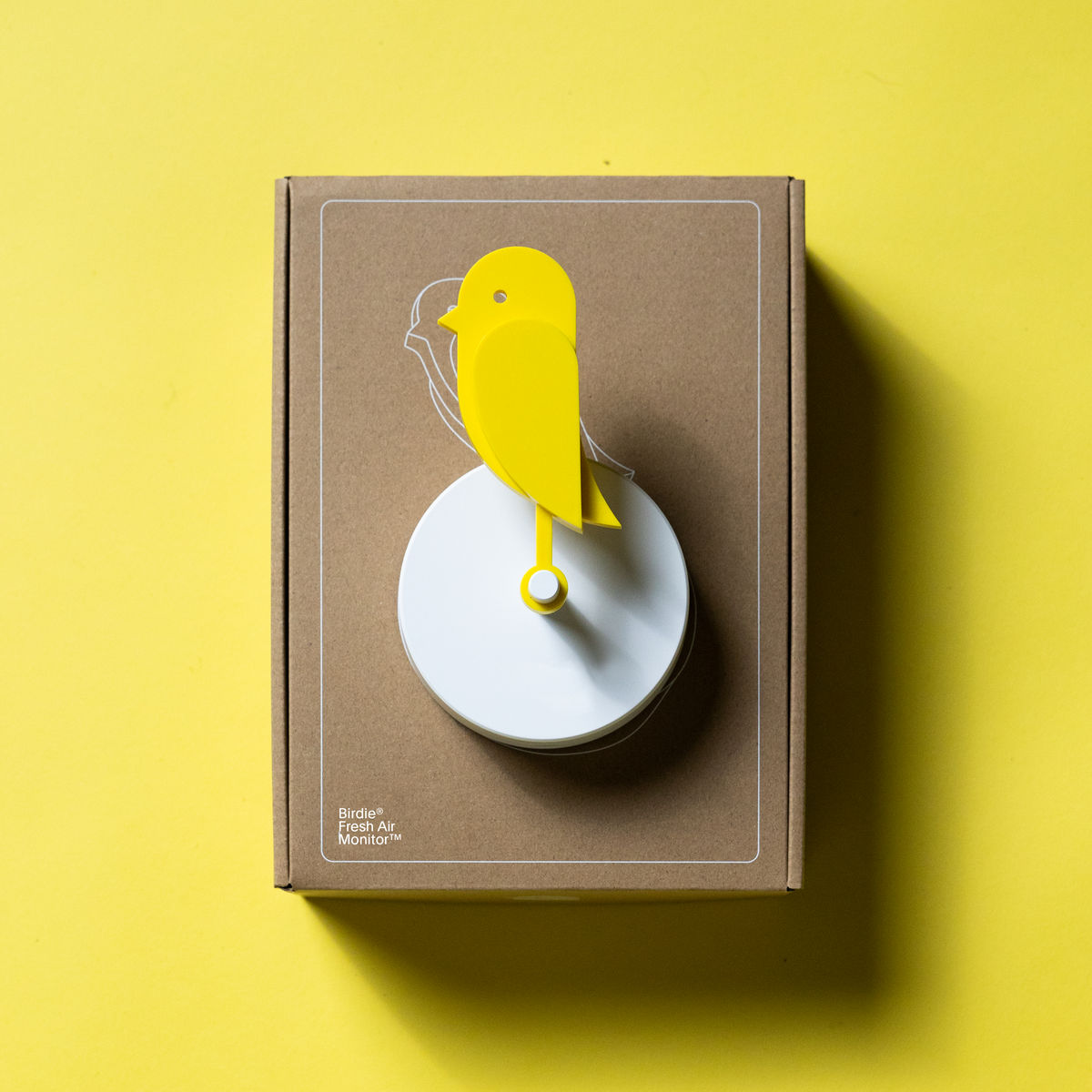 Birdie_product_and_packaging.